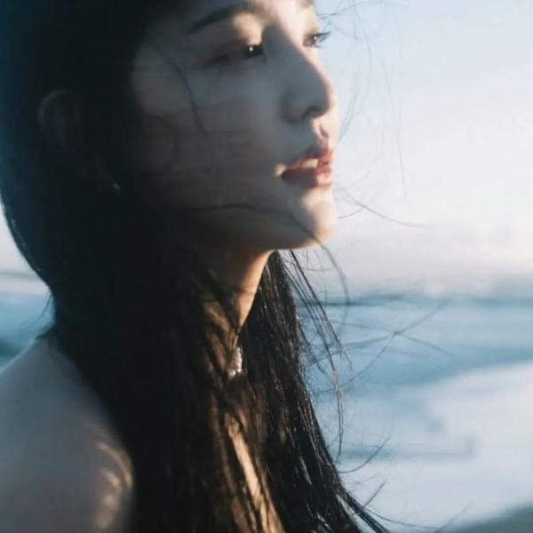秘密同盟 封面